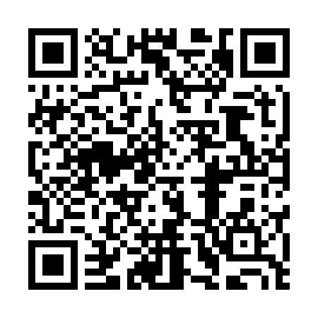 QR code for 38.180.214.110