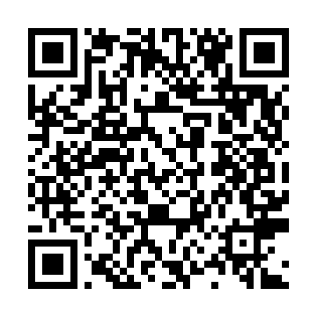 QR code for 46.29.163.78