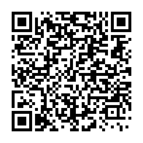 QR code for 46.17.45.31