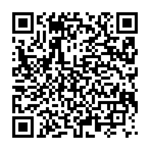 QR code for 46.17.45.31